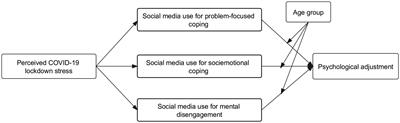 Social media use for coping with stress and psychological adjustment: A transactional model of stress and coping perspective